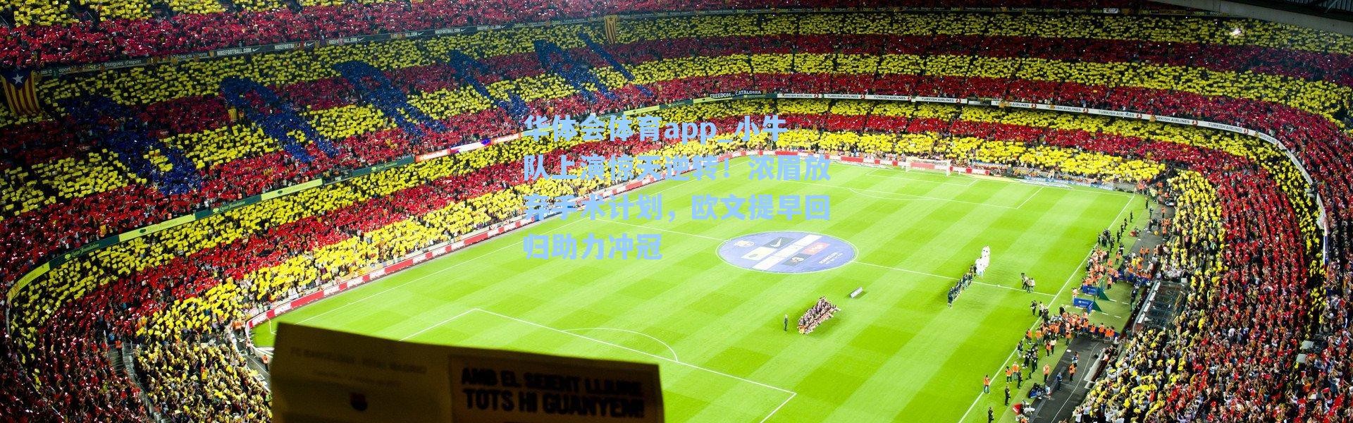 华体会体育app_小牛队上演惊天逆转！浓眉放弃手术计划，欧文提早回归助力冲冠