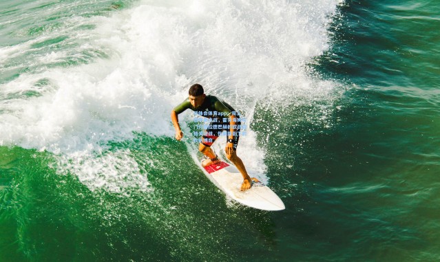 华体会体育app：周三德甲焦点战，霍芬海姆与门兴格拉德巴赫的欧战资格关键战，伤病阴影下的攻防博弈