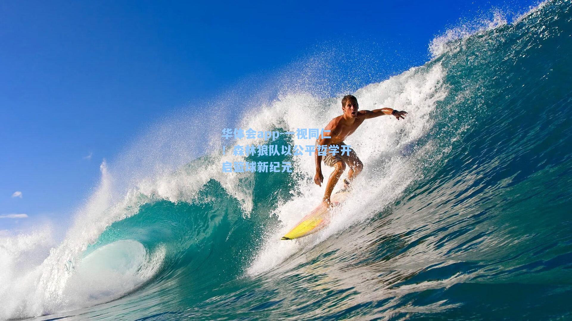 一视同仁！森林狼队以公平哲学开启篮球新纪元